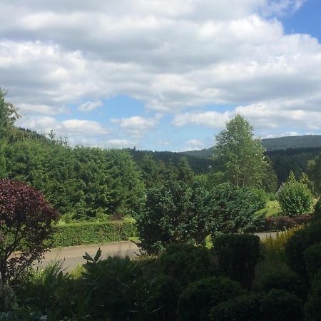 Fewo Eulennestchen-Harz Altenau  Bagian luar foto