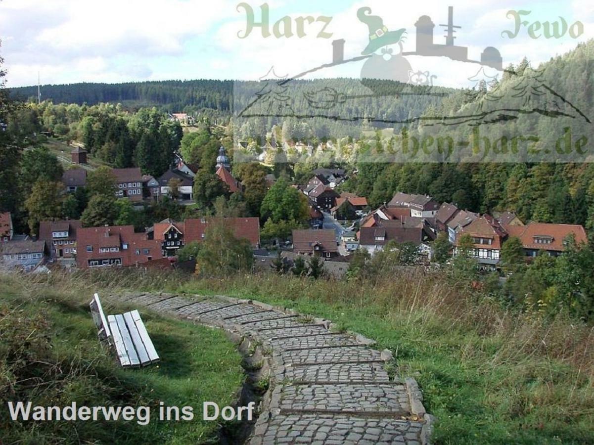 Fewo Eulennestchen-Harz Altenau  Bagian luar foto