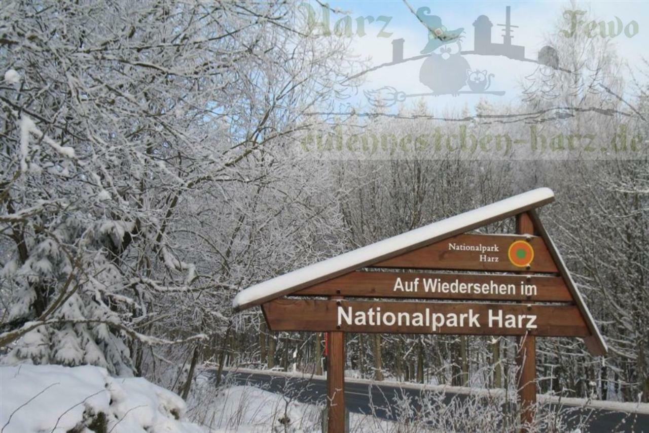 Fewo Eulennestchen-Harz Altenau  Bagian luar foto