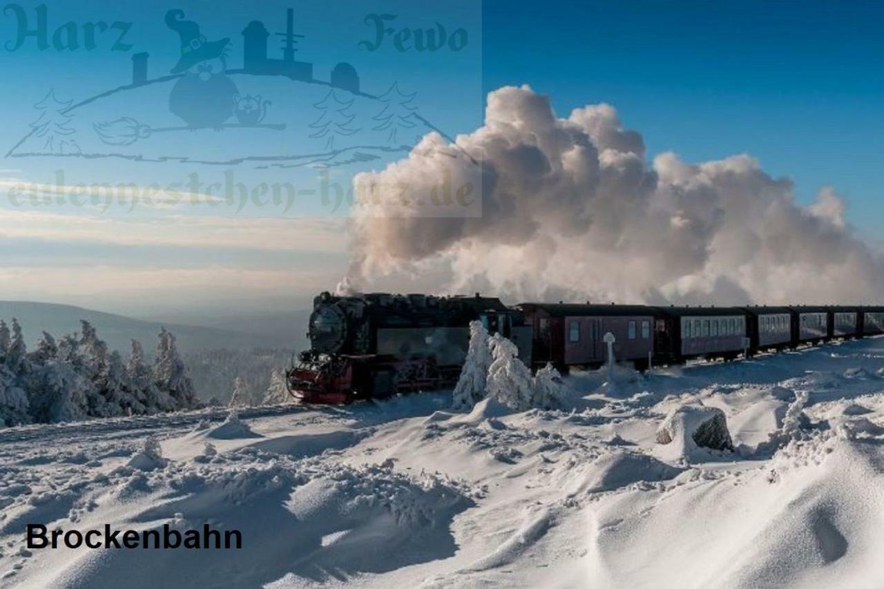 Fewo Eulennestchen-Harz Altenau  Bagian luar foto